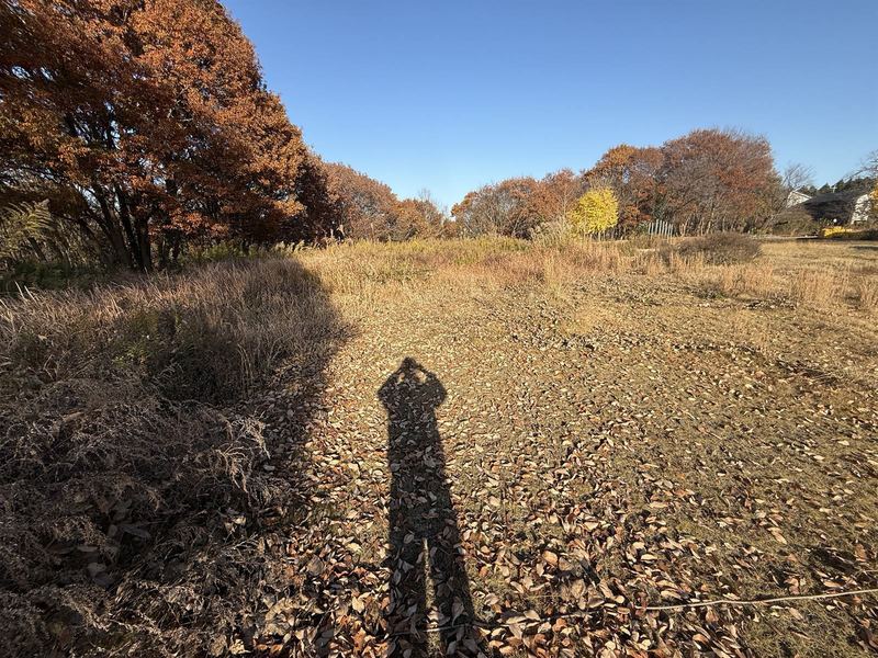 抜根から整地まで