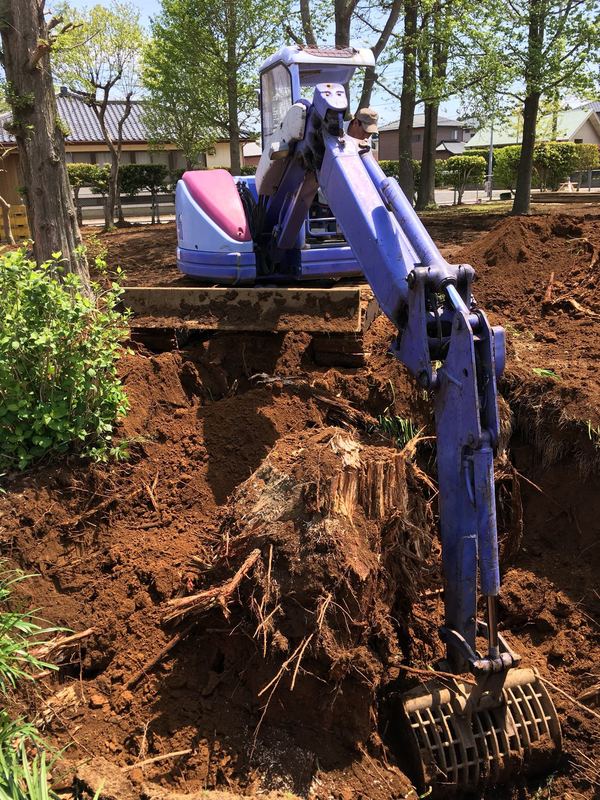庭木の伐採・撤去