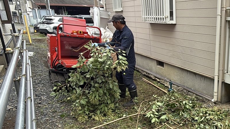 伐採廃材の処分