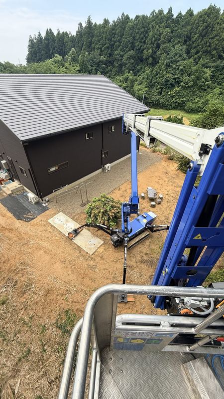 高所作業車での高木伐採