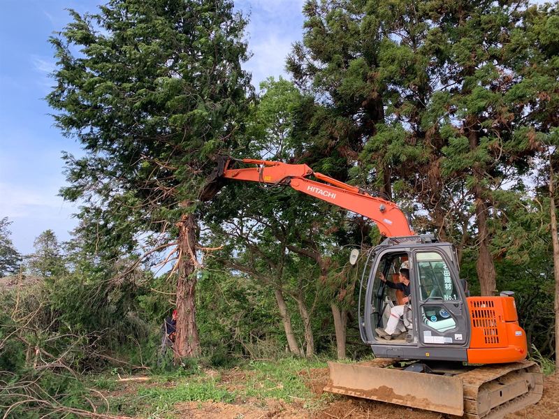 斜面・法面の伐採
