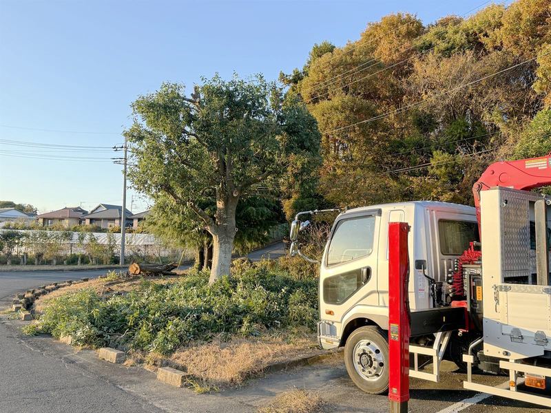 庭木の剪定管理