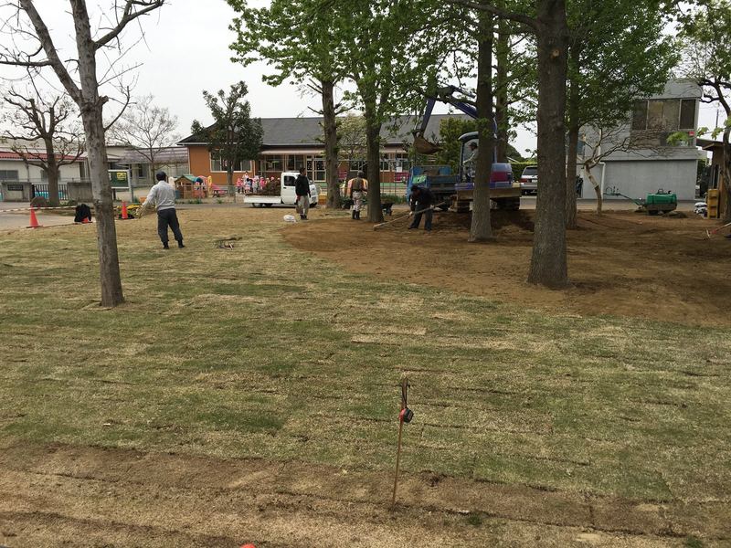 公園での芝生敷設